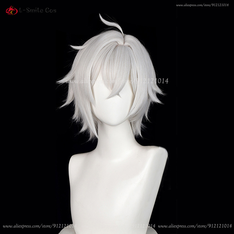 Perruque de Cosplay ZZZ Seth L - Men Accessories Silver avis et prix