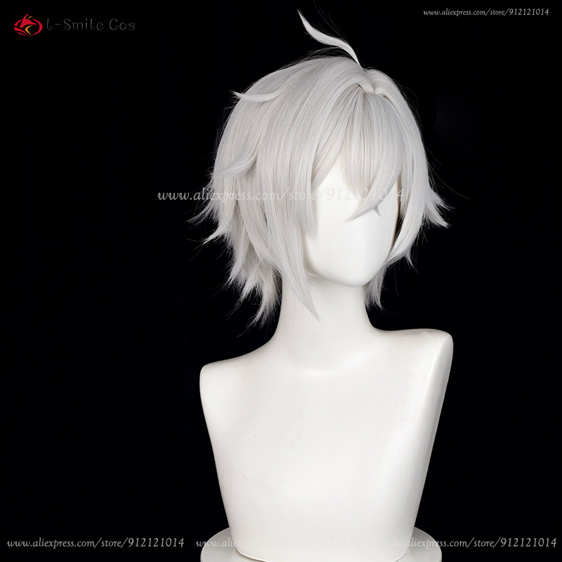 Perruque de Cosplay ZZZ Seth L - Men Accessories Silver avis et prix