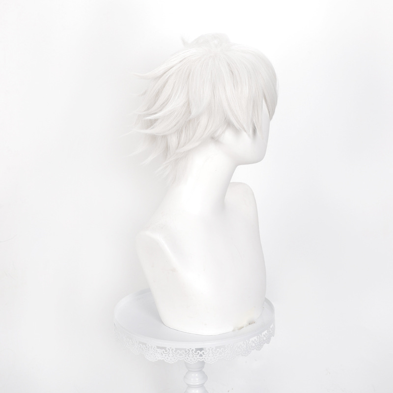 Perruque de cosplay Anime Witc - Men Accessories Silver avis et prix